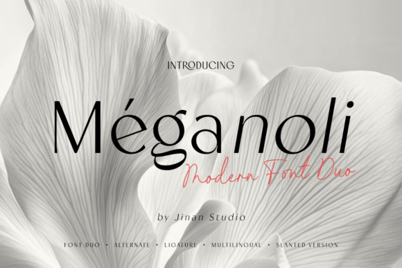 Meganoli Duo: A Font That Elevates Your Brand’s Style