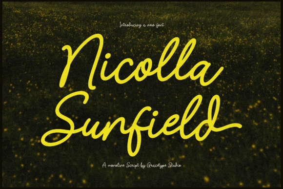 Nicolla Sunfield: A Maker’s Review of This Organic Script Typeface